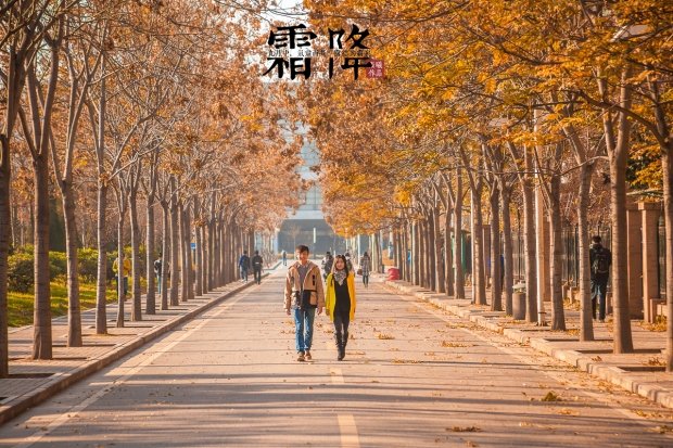 张扬的大星空官网登录入口限时优惠园-